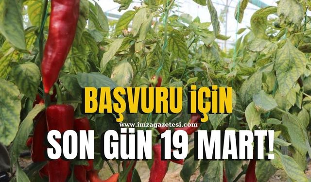 Başvuru için son gün 19 Mart