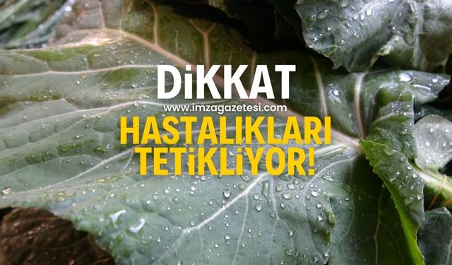 Bunu tüketenler dikkat! Tiroid bezi rahatsızlığını tetikliyor