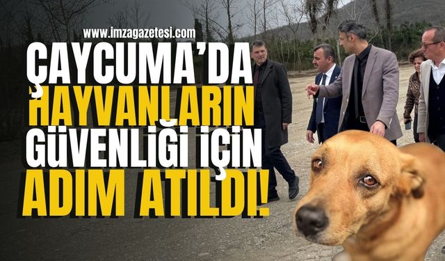 Çaycuma'da hayvanların güvenliği için adım atıldı...