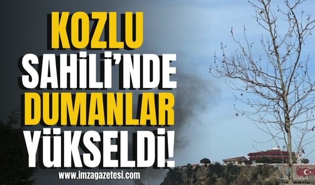 Kozlu Sahili’nde dumanlar yükseldi! | Kozlu Haberleri