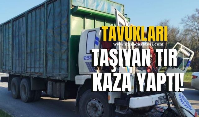 Tavukları taşıyan tır kaza yaptı! 1 yaralı