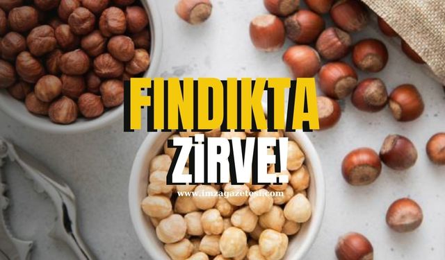 Fındıkta Yeterlilik Derecesi Zirveye Çıktı!