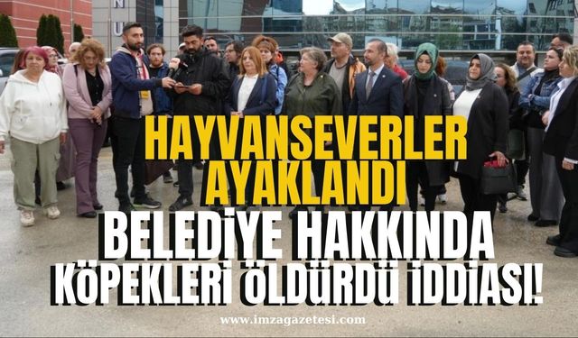 Belediye köpekleri öldürdü iddiası! Hayvanseverler ayaklandı