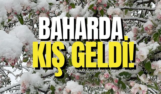 Zonguldak ve Bartın'da kar! Baharı yaşarken kış geri geldi!
