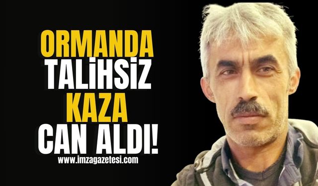 Ormanda talihsiz! İşçi feci kazada can verdi!