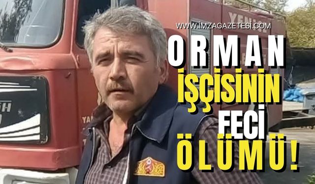 Orman işçisi feci şekilde can verdi!