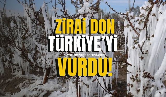 Zirai Don Türkiye'yi Vurdu!