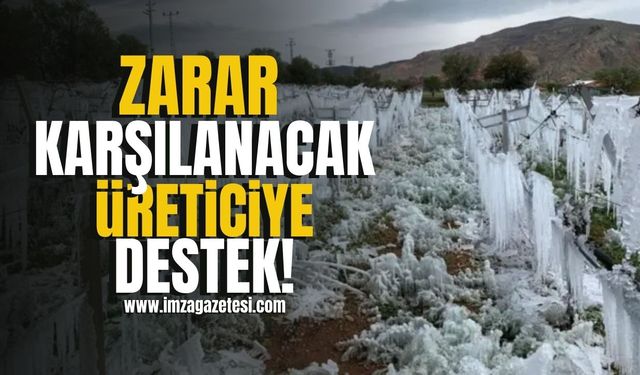 Çiftçinin zararı karşılanacak, sigortasız üreticiye destek geliyor!