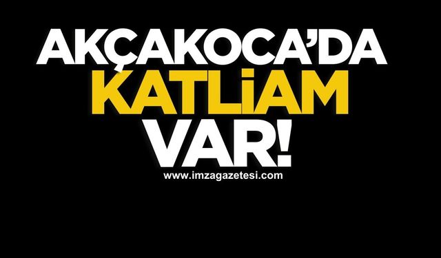 Akçakoca’da katliam yapılıyor!