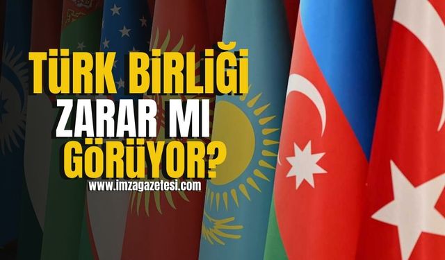 Türk Birliği Zarar Mı Görüyor?