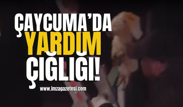 Çaycuma’da yardım çığlığı! Annesi başından ayrılmadı!