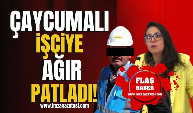 Çaycumalı işçiye şok! TİP İstanbul Milletvekili Kadıgil’e hakaret ağır patladı!