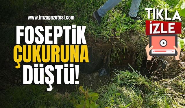 Foseptik çukuruna düştü!