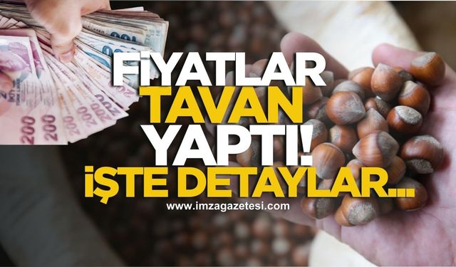 Fındık fiyatları tavan yaptı! İşte il il fiyatlar...
