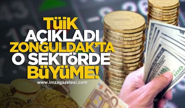 TÜİK açıkladı! Zonguldak'ta o sektörde büyüme devam ediyor!