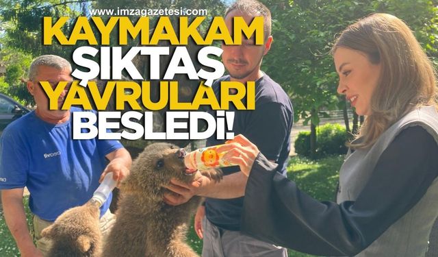 Gökçebey Kaymakamı Ruveyda Kahraman Şıktaş, Yavru Ayıları Eleriyle Besledi...