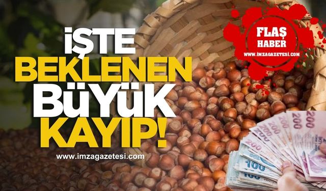 İşte fındıkta beklenen büyük kayıp!