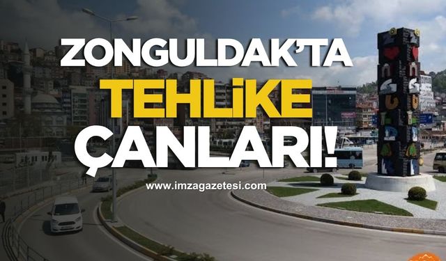 Çilek Festivalinde yıldızlar geçidi! Güliz Ayla, Aydilge...