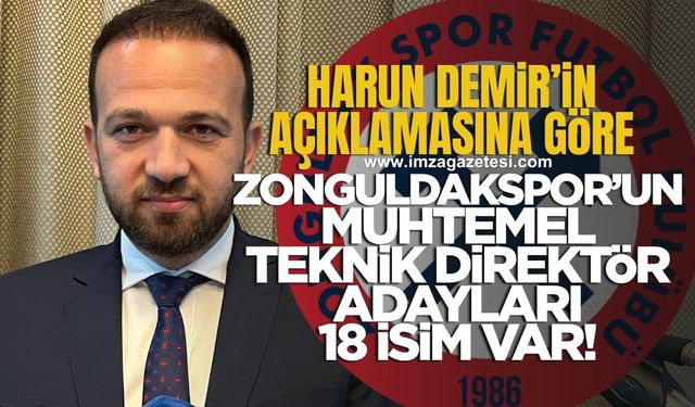 Zonguldakspor'un yeni teknik direktörü kim olacak? İşte Harun Demir'in açıkladığı kriterlere uygun teknik direktörler