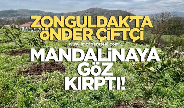 Zonguldak’taki önder çiftçi mandalinaya göz kırptı!