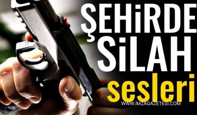 Zonguldak'ın İlçesinde Silah Sesleri! Polis Harekete Geçti!