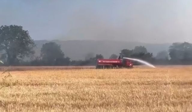 Anız yangını çıktı