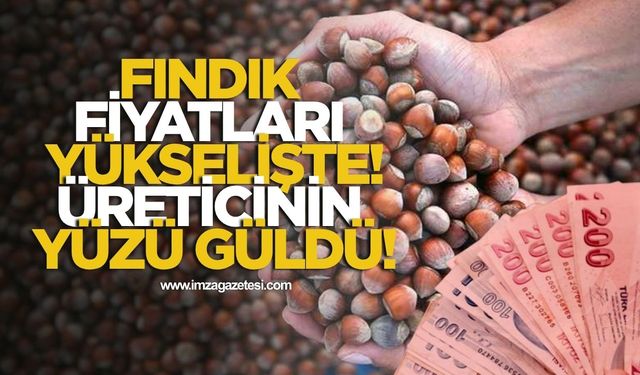 Fındık Fiyatları Yükselişte! Üreticinin Yüzü Güldü!