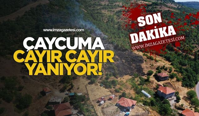 Kdz. Ereğli Belediyesi’nde, Yaşar Bayram için tören düzenlendi...