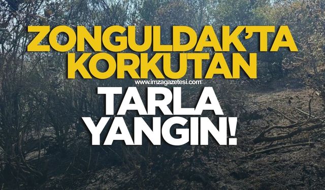 Zonguldak'ta korkutan tarla yangını