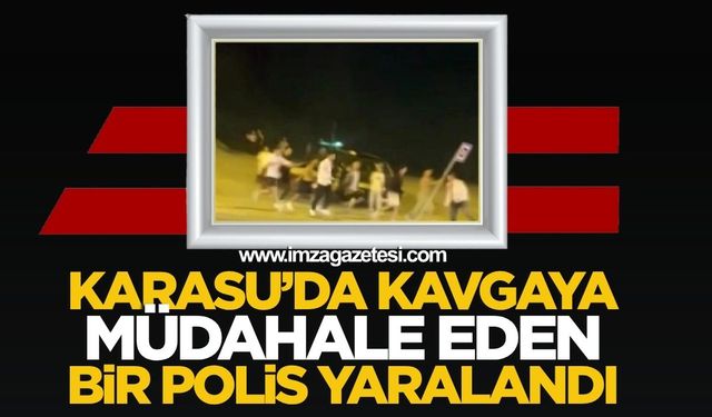 Asayiş Olayı: Karasu'da Kavgaya Müdahale Eden Polis Yaralandı