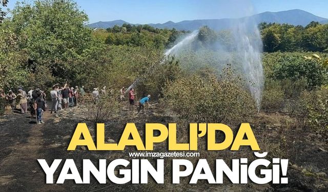 Alaplı Belen Köyü'nde Fındık Temizleme Esnasında Yangın Paniği
