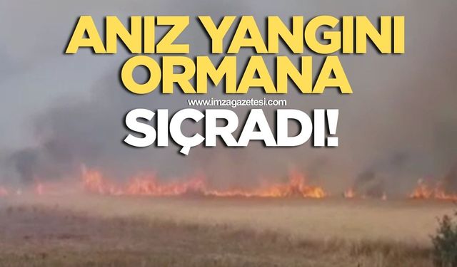 Anız yangını büyüyerek ormana sıçradı!