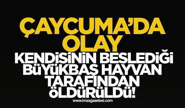 Çaycuma'da olay! Kendi hayvanı tarafından öldürüldü