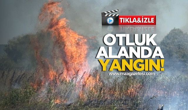 Otluk Alanda Yangın! 2 dönüm alan kül oldu!
