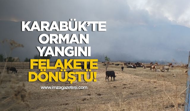 Karabük’te Orman Yangını 5. Gününde...19 Köy, 57 Mahalle Boşaltıldı!