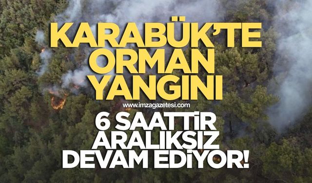 Karabük'te orman yangını 6 saattir aralıksız devam ediyor