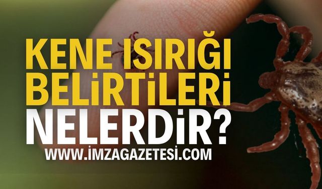 Kene Isırığı Belirtileri: Ne Yapmalı?