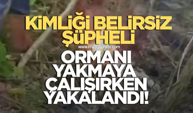 Kimliği belirsiz şüpheli Zonguldak'ta ormanı yakmaya çalışırken fark edildi