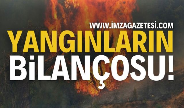 Orman Yangınları Bilançosu Açıklandı!