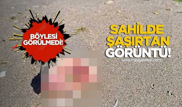 Sahilde şaşırtan görüntü! Böylesi görülmedi!