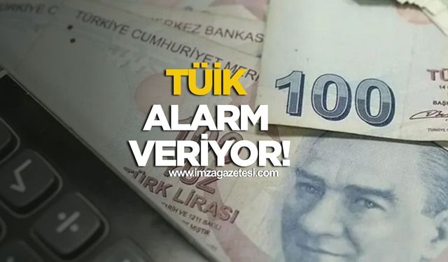 Tarımda Yatırım da Zorlaştı!  Girdi Maliyetleri Rekor Kırıyor...