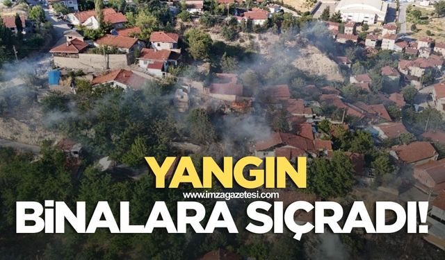 Yangın evlere sıçradı