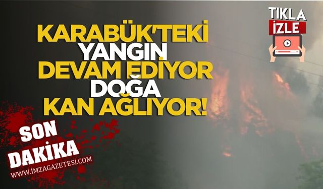 Karabük'teki Yangın Devam Ediyor, Doğa Kan Ağlıyor!