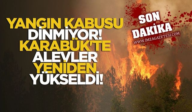 Yangın Kabusu Dinmiyor! Karabük'te Alevler Yeniden Yükseldi!