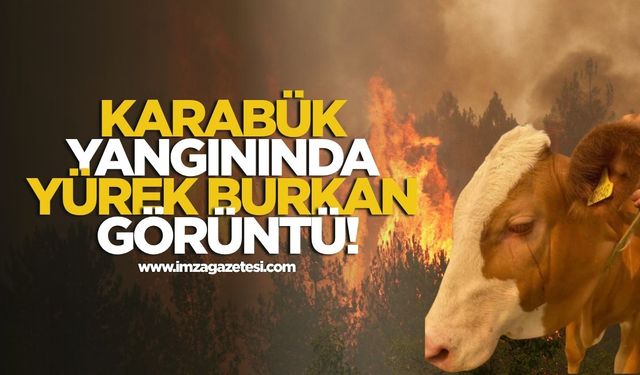 Karabük Yangınında Yürek Burkan Görüntü!