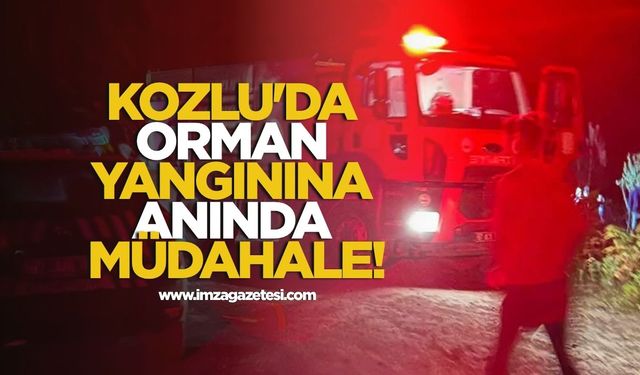 Kozlu'da orman yangınına anında müdahale!
