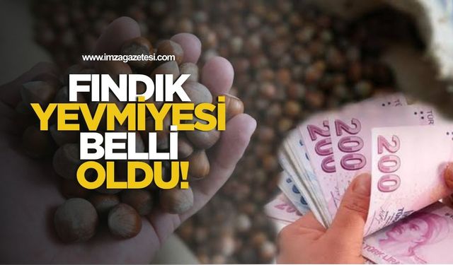 Fındık yevmiyesi belli oldu!