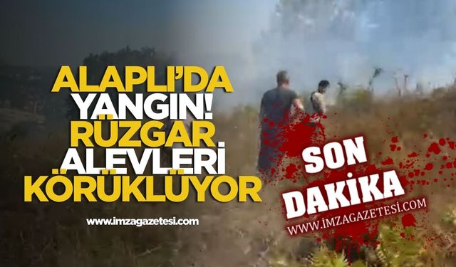 Alaplı’da yangın! Rüzgar alevleri körüklüyor