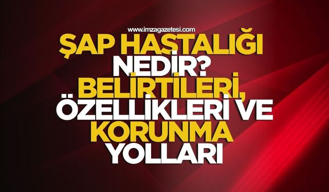 Şap hastalığı nedir? Belirtileri, özellikleri ve korunma yolları...
