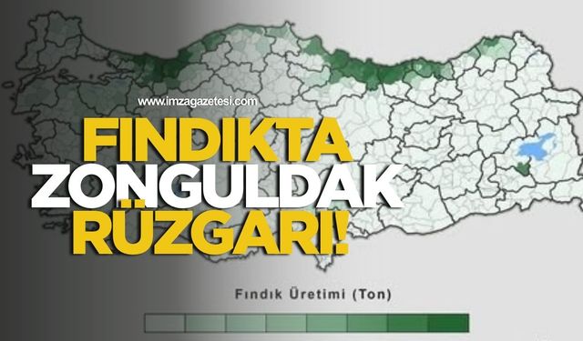 Fındıkta Zonguldak Rüzgarı!